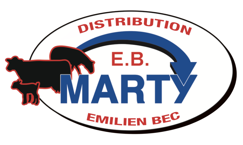 Logo-EB